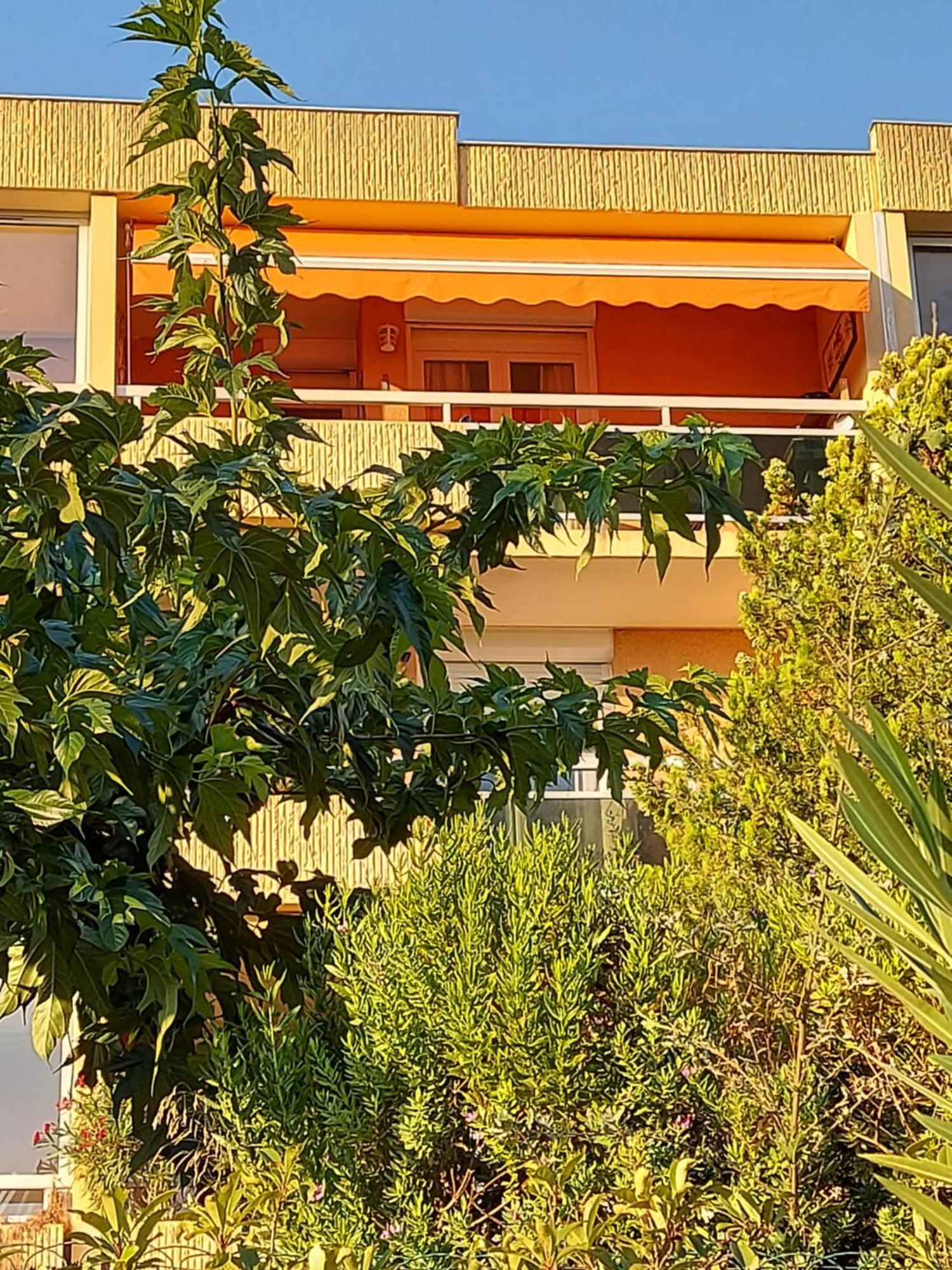 Apartamento T2-Clim-Fibre-Garage 2,30 X 4,95 X 1,90 A La Faviere Bormes-les-Mimosas Exterior foto